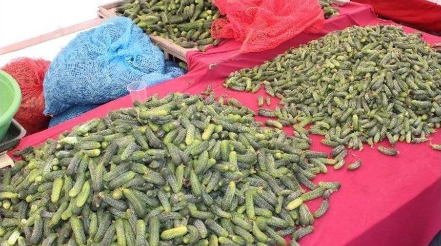 Tavşanlı&rsquo;da Tezgahların &rsquo;tadı&rsquo; Yok