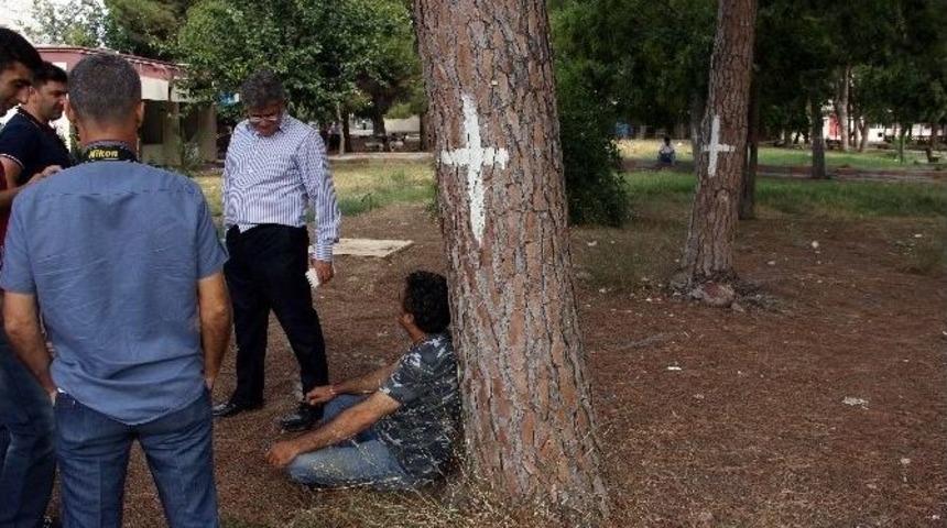 Hastane Bah&ccedil;esinde Ağa&ccedil; N&ouml;beti