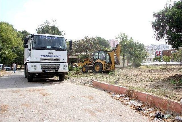 Hastane Bahçesinde Ağaç Nöbeti