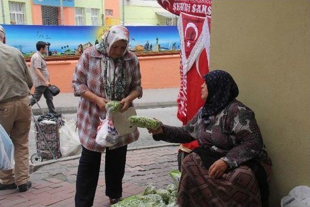 Bamya Satarak Çocuklarının Okul Masraflarını Çıkarıyorlar