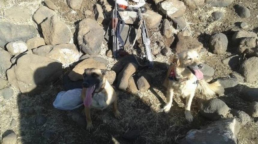 Diyarbakır&rsquo;daki Aşiret Kavgası