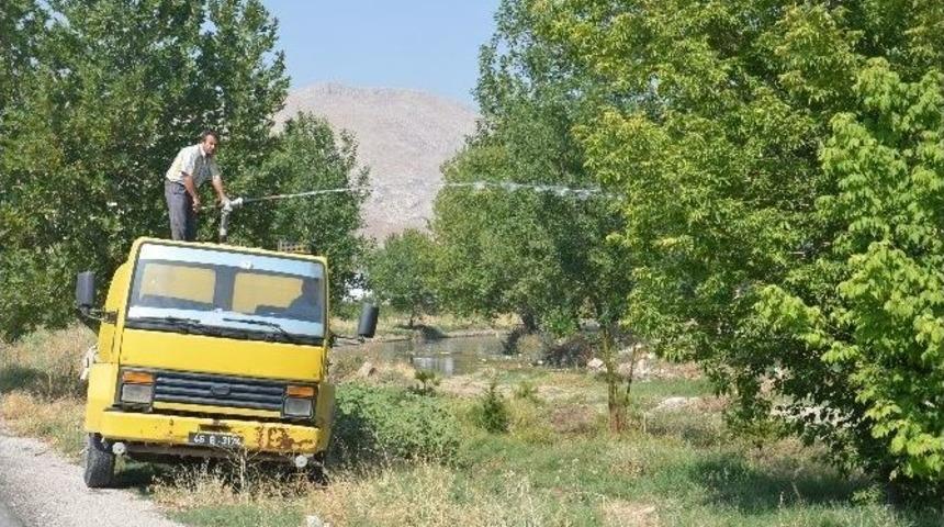 İnşaat Alanındaki Fidanlar Taşınıyor