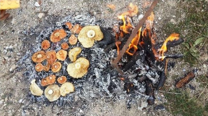 İş&ccedil;ilerden Mantar Partisi