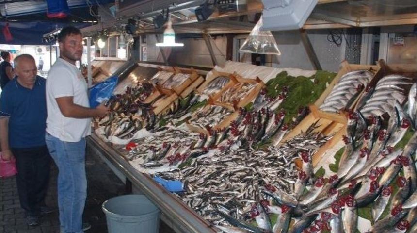 Balık&ccedil;ılara &lsquo;bıldırcın Fırtınası&rsquo; Engeli