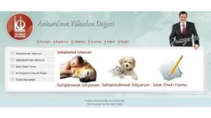 Ke&ccedil;i&ouml;ren Belediyesi Sahipsiz Hayvanlara Yuva Buluyor