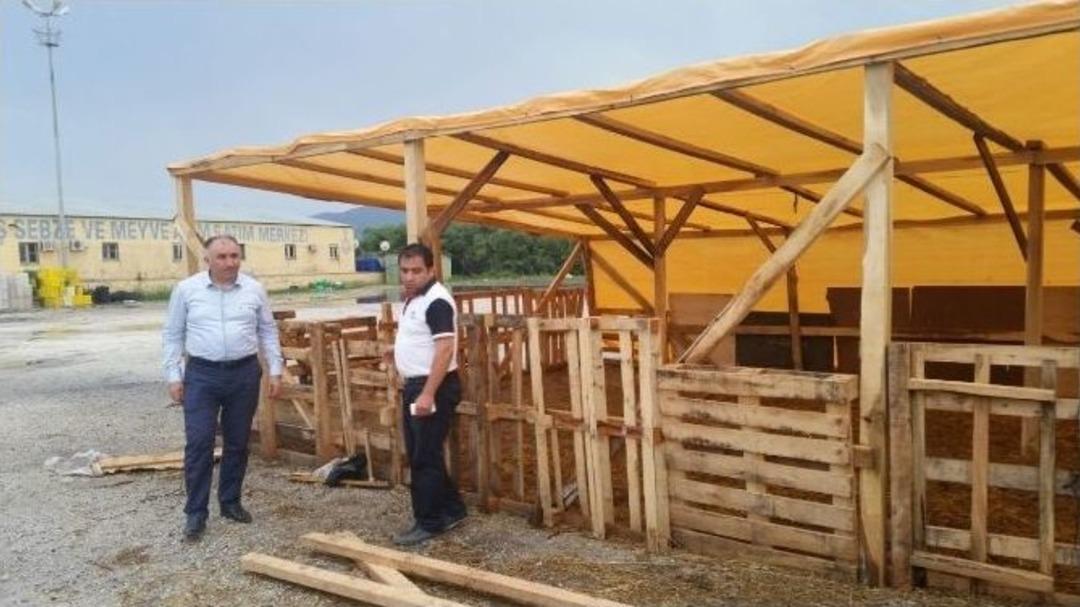 Başkan &Ccedil;ağlayan Kurban Pazarını İnceledi