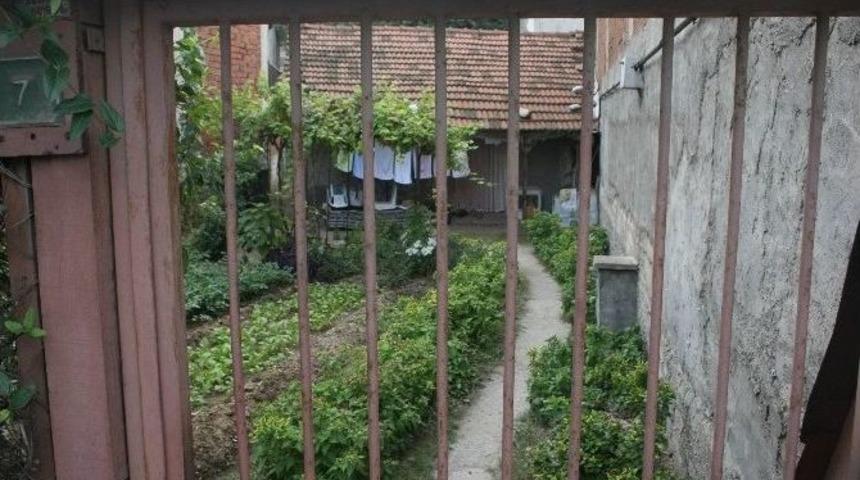 Ge&ccedil;imini Sağlamak İ&ccedil;in Gittiği İstanbul&rsquo;da Asans&ouml;r Kazasında Hayatını Kaybetti