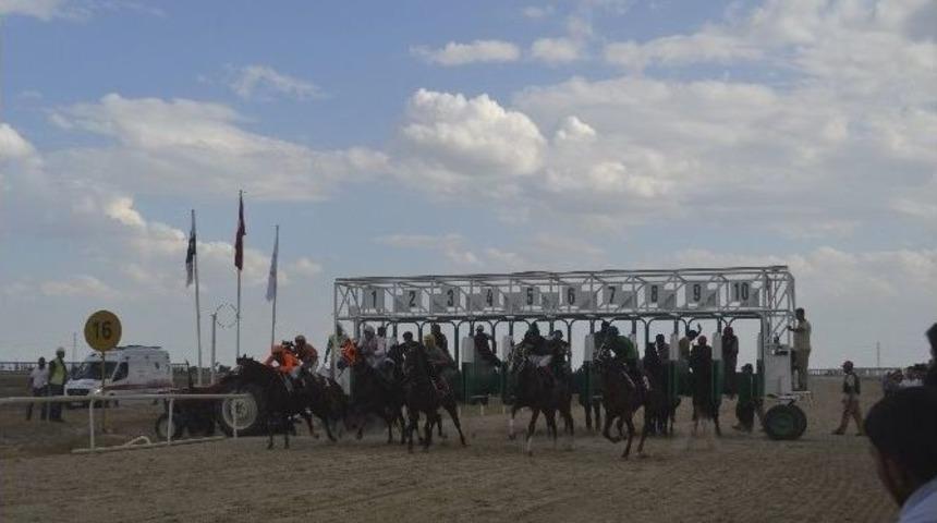 Huysuz Atlar Zor Anlar Yaşattı