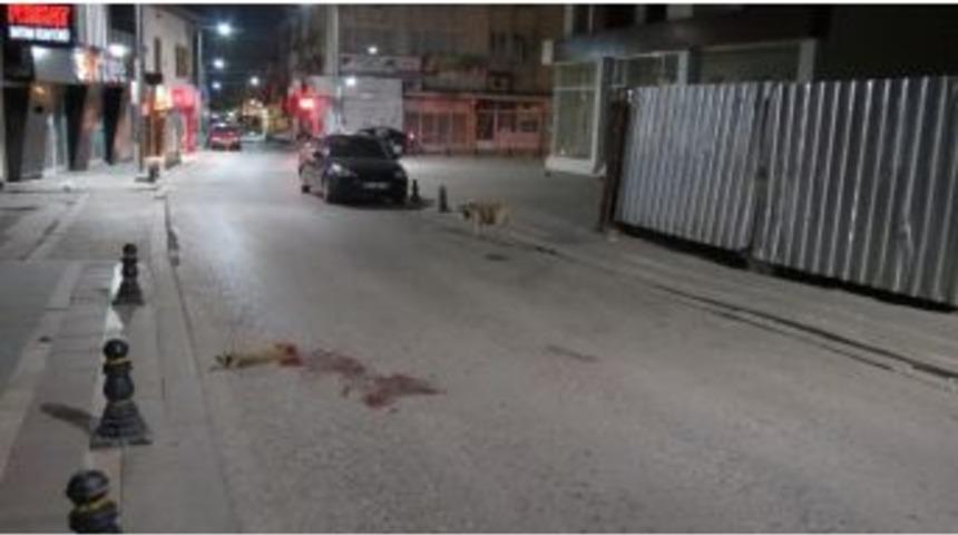 &Ouml;len Yavrusunun Başından Ayrılmadı, Yoldan Ge&ccedil;en Ara&ccedil;lara Saldırdı