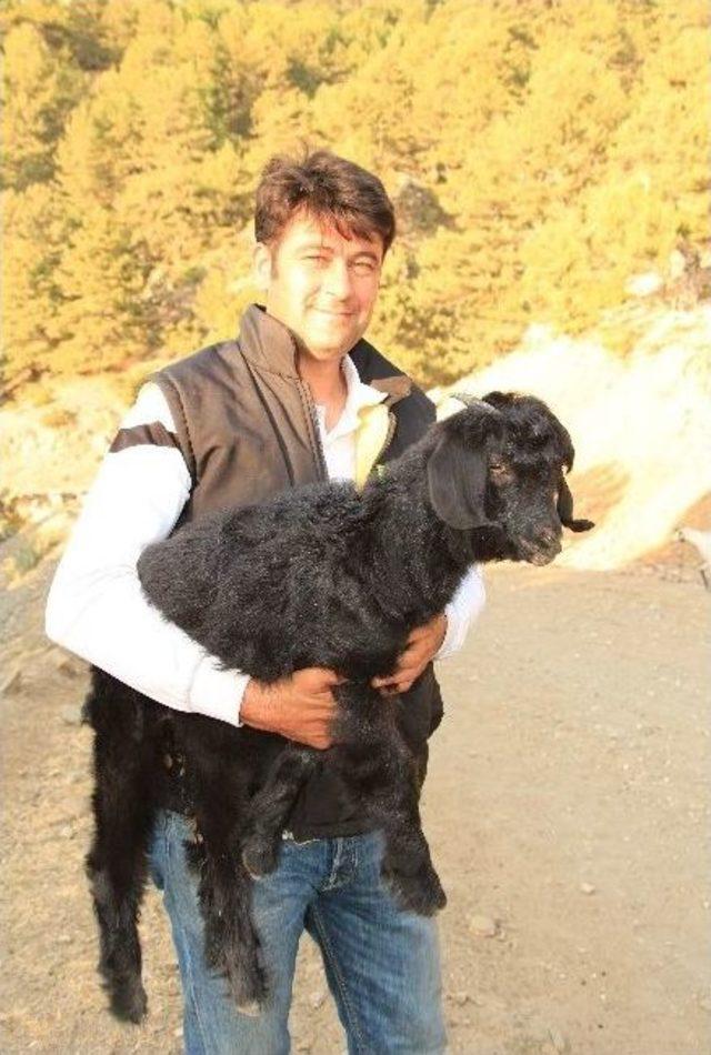 &Ccedil;obanlar Kurban Hazırlıklarını Tamamladı 2