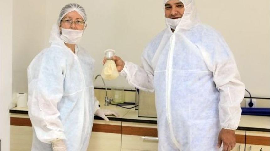 &Ccedil;&uuml;&rsquo;de Bilim İnsanları Yapay İnsan Kemiği &Uuml;retti