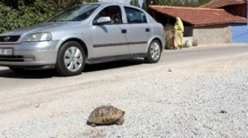Dikkat Ağır Vasıta...