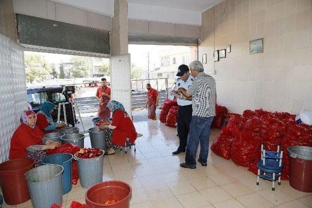 Şahinbey Zabıtası Salçalık Satış Ve İmalat Yerlerini Denetledi