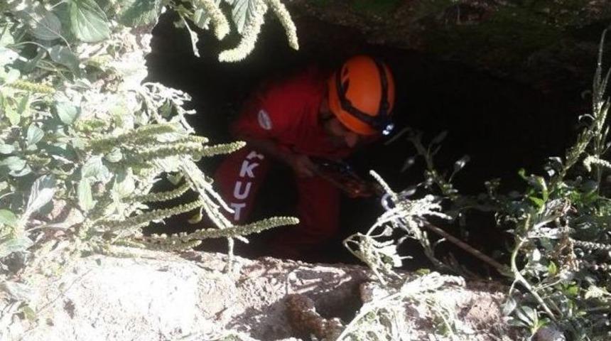 Kuyuya D&uuml;şen K&ouml;peği Akut Kurtardı