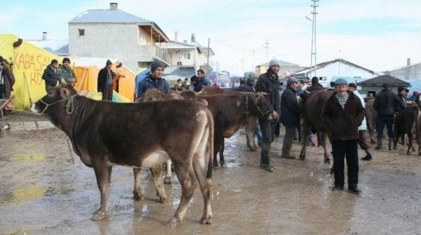 Kurban Pazarı Yer Müracaatları Başladı