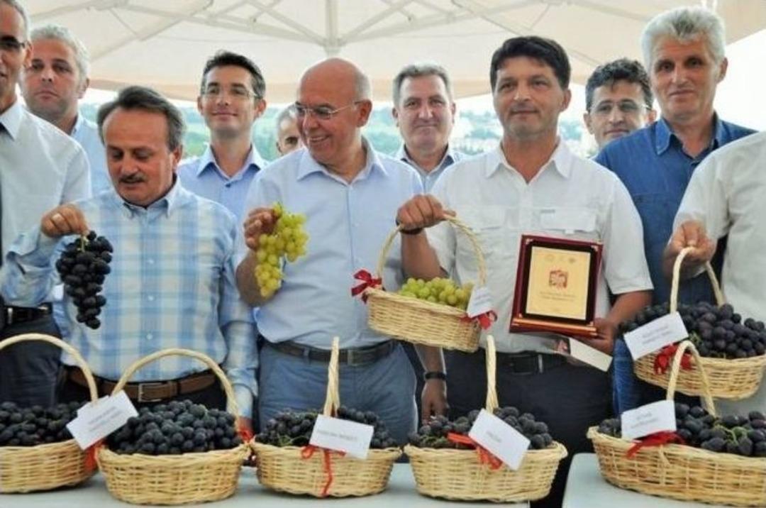 Tekirdağ&rsquo;ın &Uuml;z&uuml;mleri Yarıştı