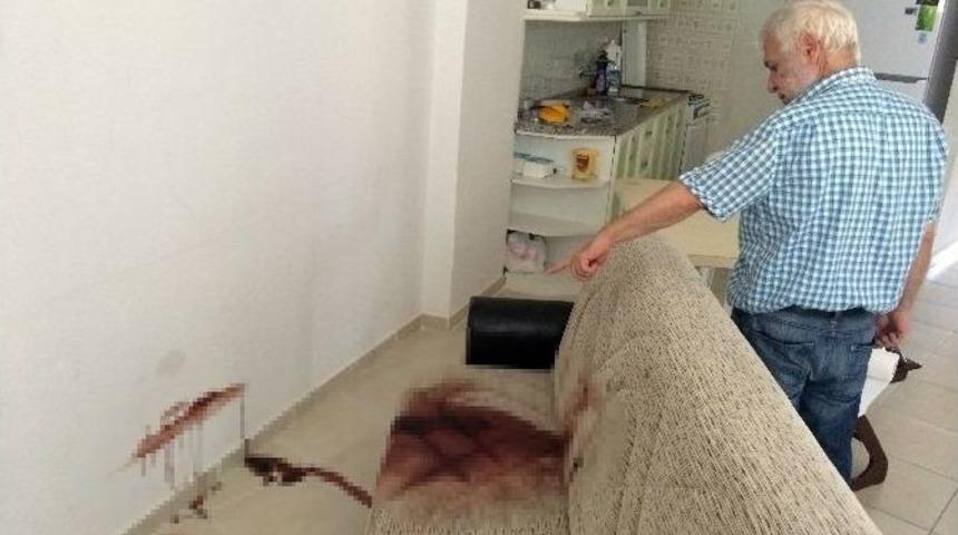Mersin&rsquo;deki Ş&uuml;pheli &Ouml;l&uuml;m&uuml;n Zanlısı Kamerada