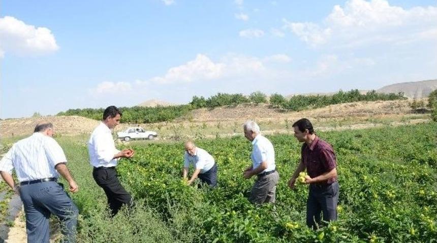 Darende&rsquo;de Mal&ccedil;lama Sistemi Tuttu