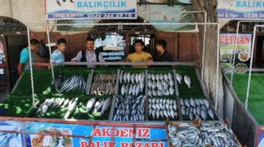 Kilis&rsquo;te Balık Tezgaha İndi