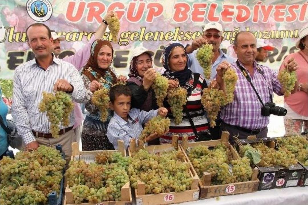 Nevşehir&rsquo;de &Uuml;z&uuml;m &Uuml;retimi Her Ge&ccedil;en Yıl Azalıyor