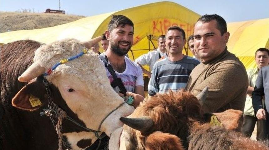 Mamak Kurban Bayramı&rsquo;na Hazırlanıyor