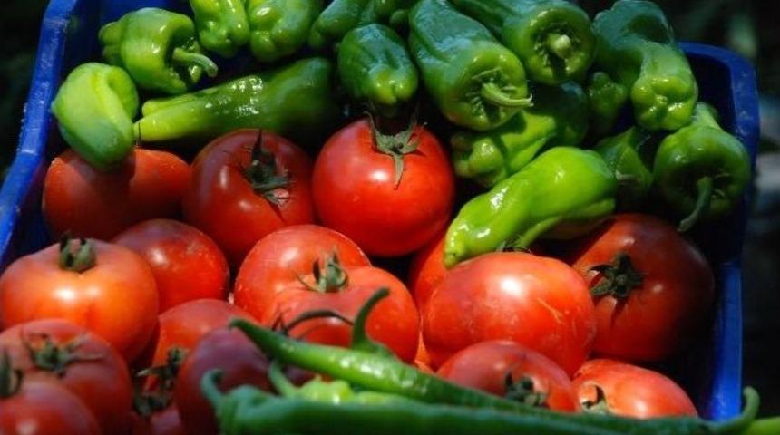 Tokat&rsquo;ta 82 &Ccedil;eşit &Uuml;r&uuml;n Yetişiyor