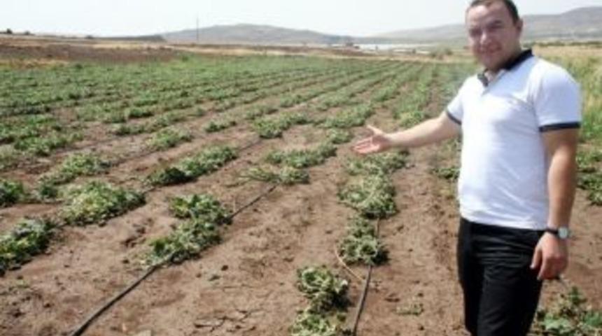 Ziraat Odası Su İsrafına Karşı Kampanya Başlattı