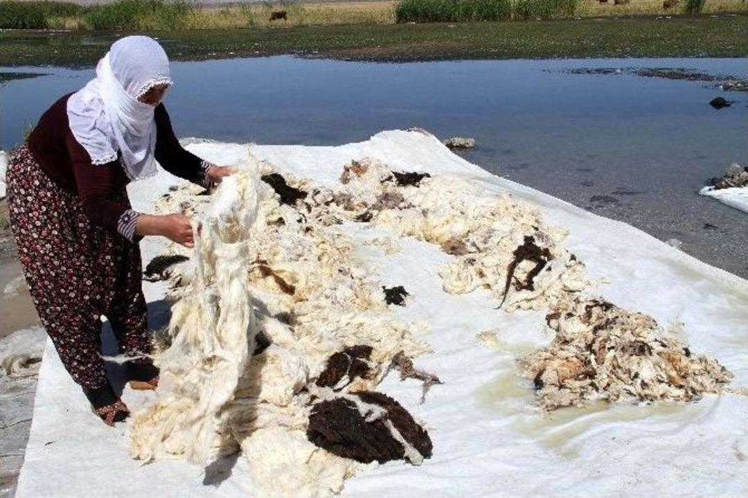 Kadınların Y&uuml;n Yıkama Telaşı