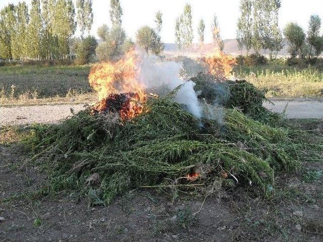 Erzurum’da 40 Ton Hint Keneviri Ele Geçirildi