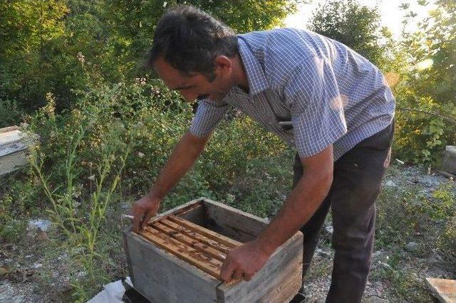 Hava Şartları Arıcıları Vurdu