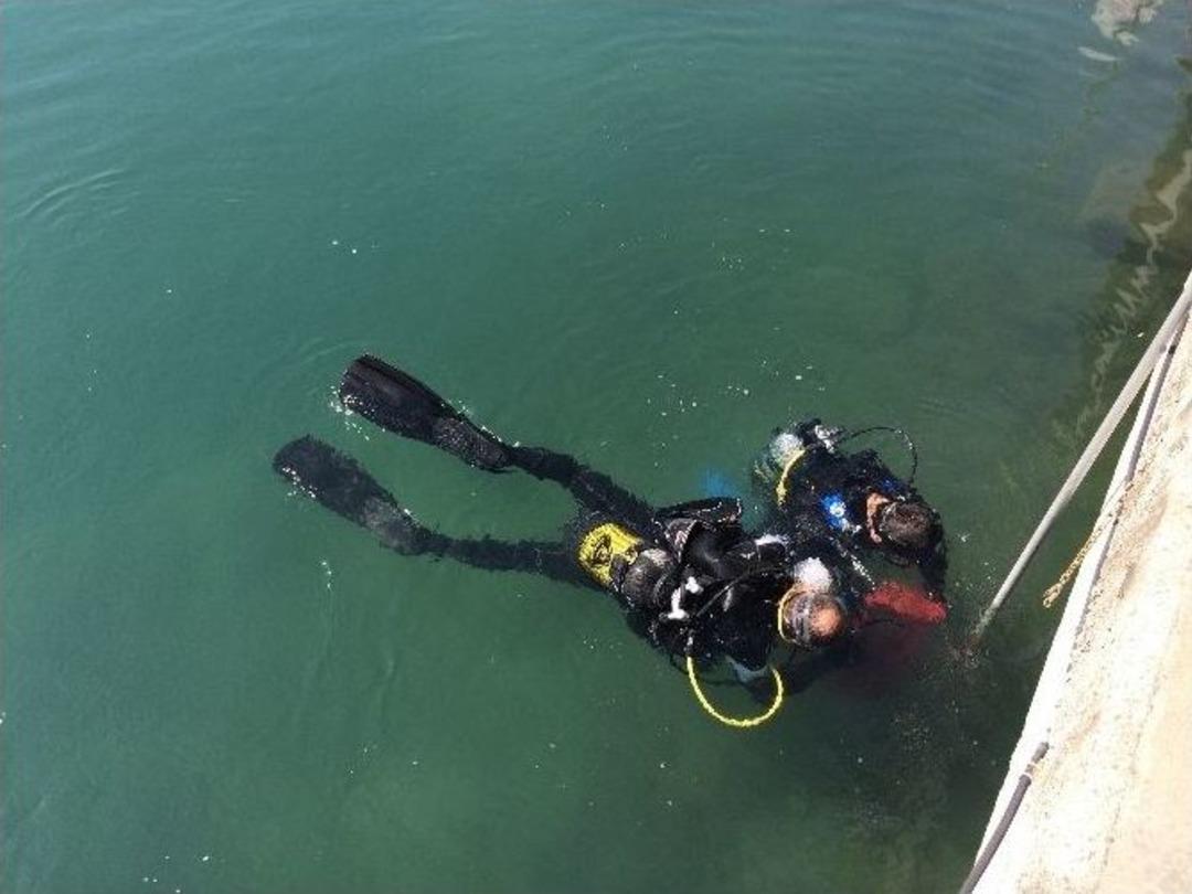 Boğazdan &Ccedil;ıkanlar Vatandaşları Şaşkına &Ccedil;evirdi