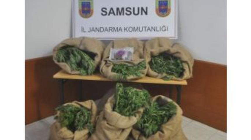 Samsun&rsquo;da Uyuşturucu Operasyonu