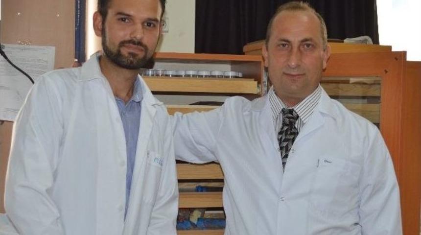 Ks&uuml; Bilim Adamları &Uuml;&ccedil; Yeni Salyangoz T&uuml;r&uuml; Tespit Etti