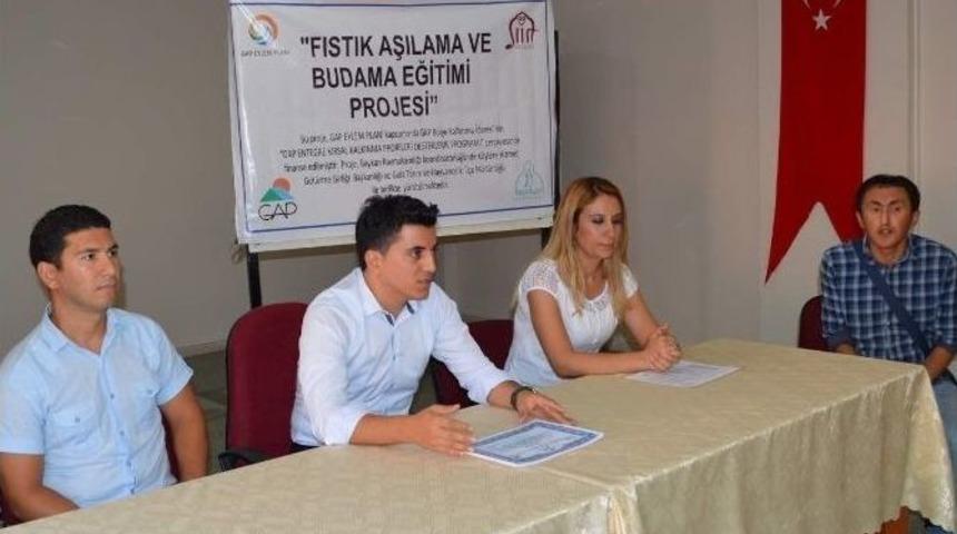 Fıstık Aşılama Ve Budama Eğitimi Sonu&ccedil;landı