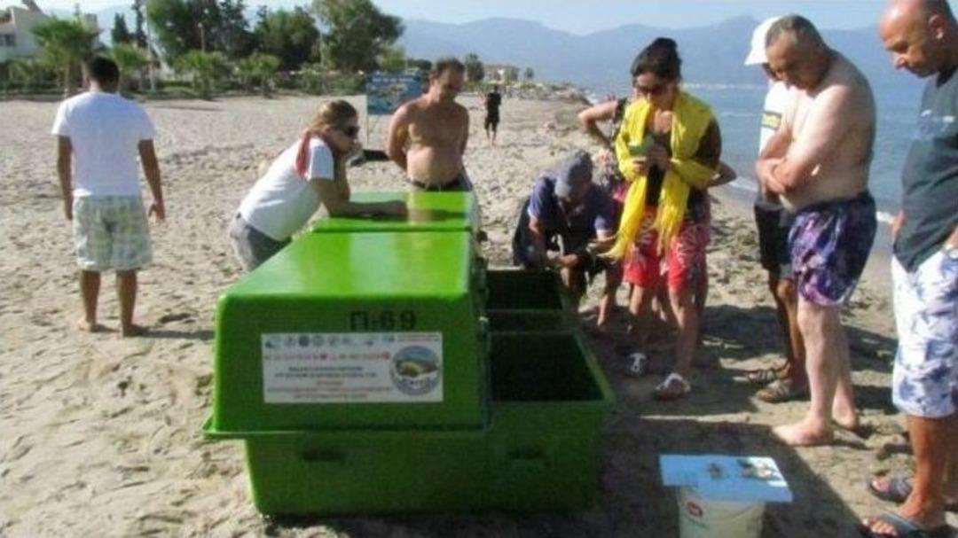 Misina Kurbanı Kaplumbağalar Denize Bırakıldı