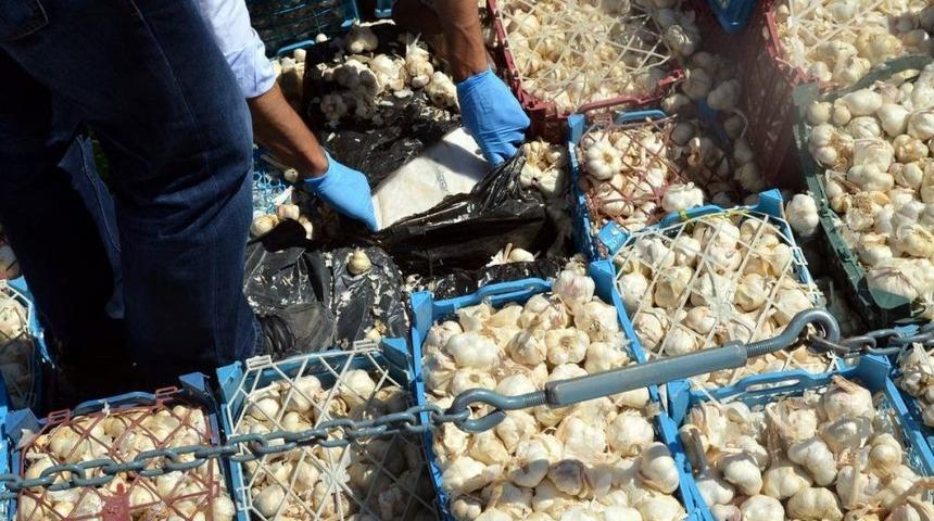 Sarımsakların Arasında Sigara Ka&ccedil;ak&ccedil;ılığı