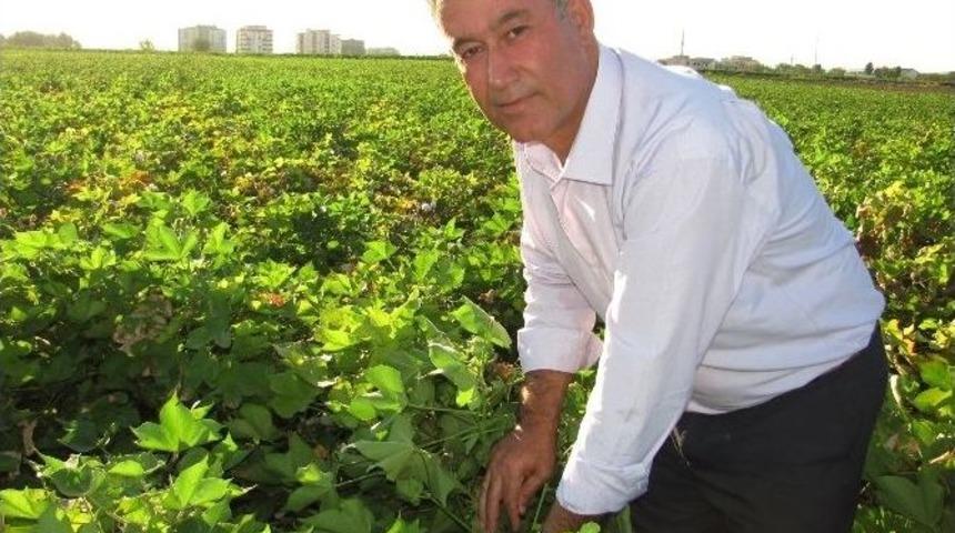 Altun Araban &Ccedil;ukobirlik Başkanı Se&ccedil;ildi