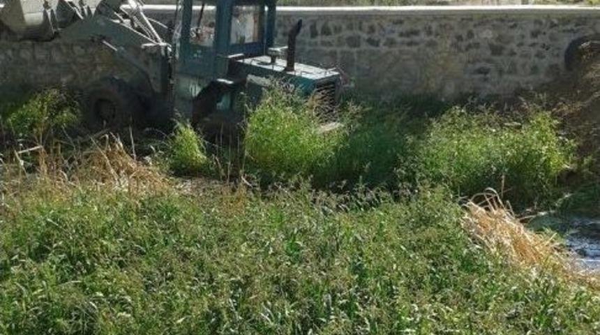 Lapseki&rsquo;de &Ccedil;ınarlı Dere Temizleniyor