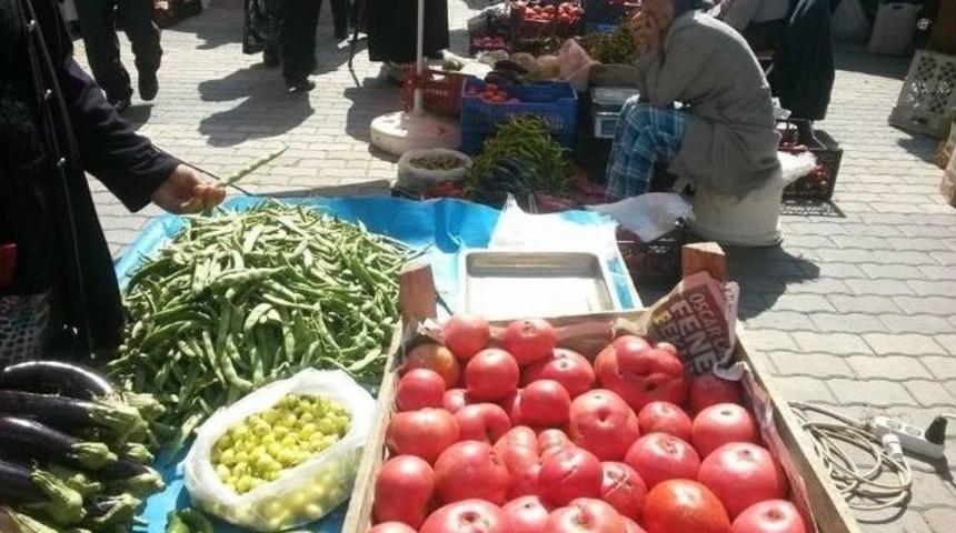 Osmanlı Domatesine B&uuml;y&uuml;k İlgi