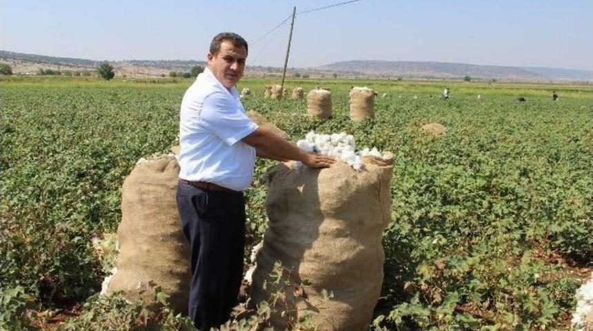 &Ccedil;ift&ccedil;iler, Pamuk İ&ccedil;in Umutlu