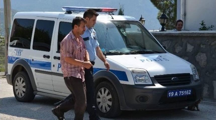 Kargı 2015 Yılını Sakin Ge&ccedil;irdi