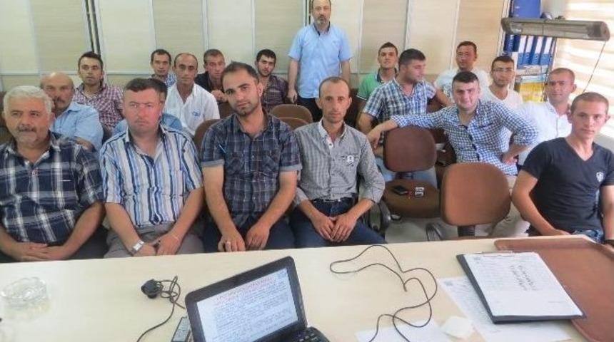 Terme Tso Ve Mmo İşbirliği İle Eğitim