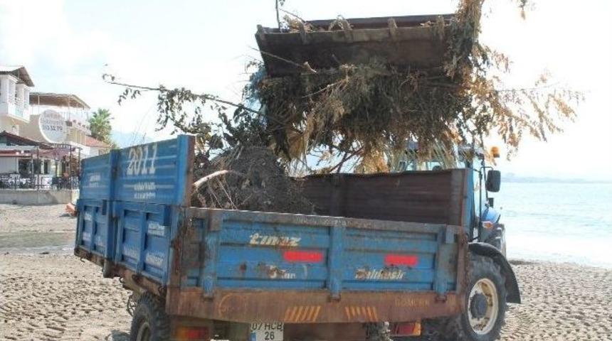 Altid Sahilleri Temizledi