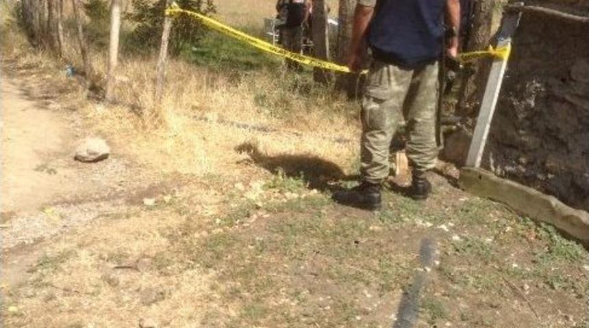 Bah&ccedil;ede Meyve Toplayan Ağabeyini Ayı Zannederek &Ouml;ld&uuml;rd&uuml;