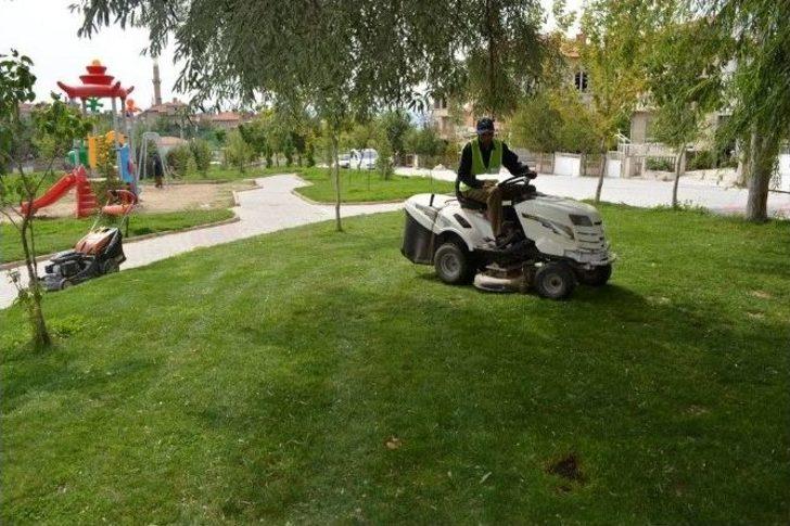 Daha Yeşil Bir Tavşanlı İçin Çalıyorlar G2