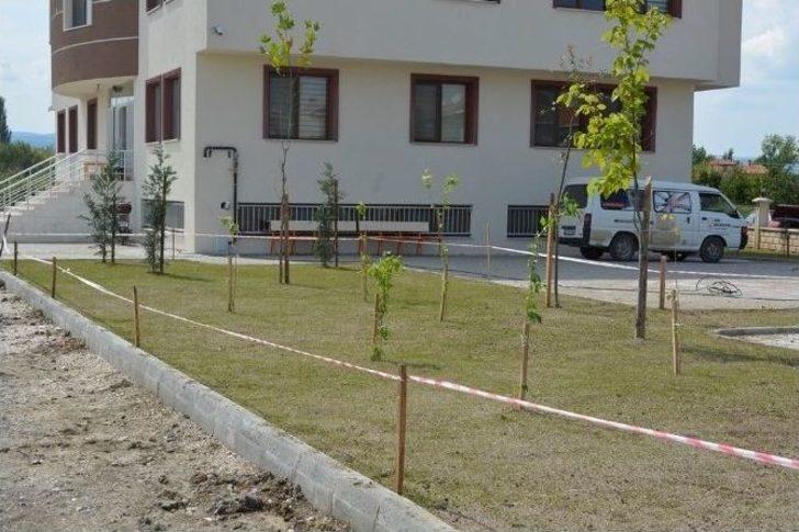 Daha Yeşil Bir Tavşanlı İçin Çalıyorlar G4