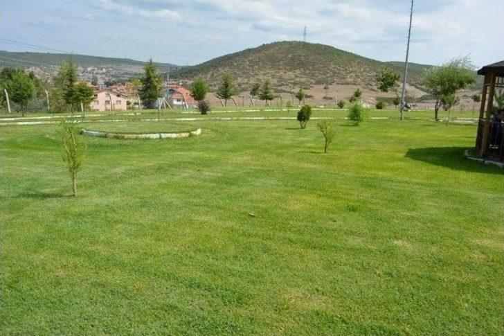 Daha Yeşil Bir Tavşanlı İçin Çalıyorlar G5