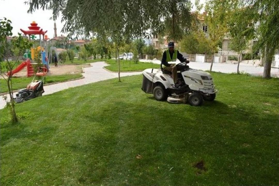 Daha Yeşil Bir Tavşanlı İ&ccedil;in &Ccedil;alışıyorlar