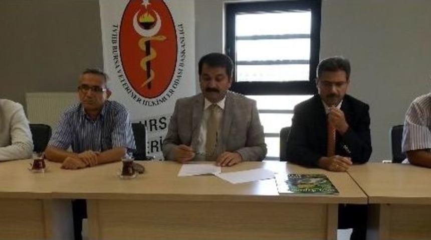 Bursa Veteriner Hekimler Odası&rsquo;nda Se&ccedil;im Heyecanı