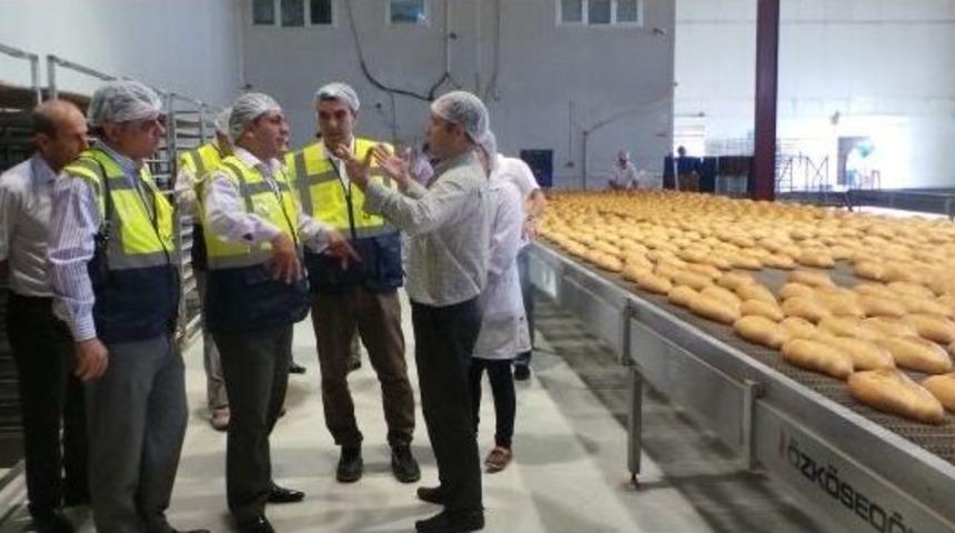 Karayandı&rsquo;dan Ekmek Fabrikasında İnceleme
